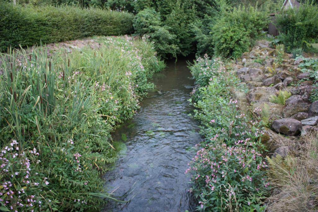 Gite Du Moulin Uhrwiller Dış mekan fotoğraf