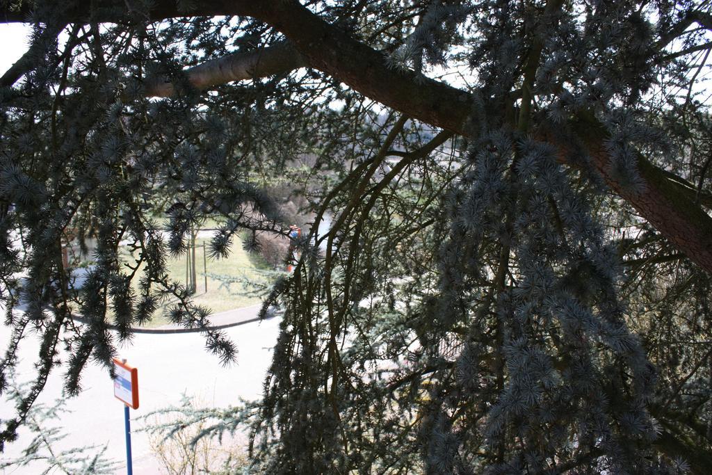 Gite Du Moulin Uhrwiller Dış mekan fotoğraf